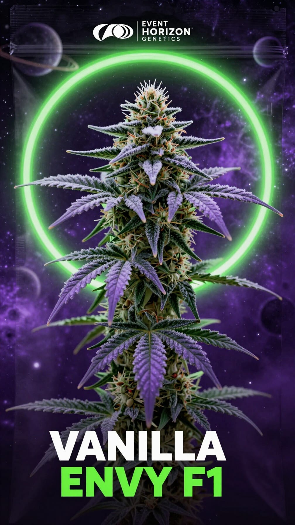 Vanilla Envy F1